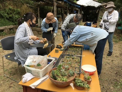 寄せ植え